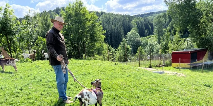 Procházka s kozou či koněm a pasení mini prasátek nebo ovcí na farmě v Jeseníkách