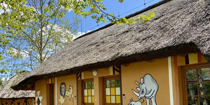 Afrika ve Dvoře Králové: bungalov v kempu, snídaně, neomezený vstup do safari i vířivka