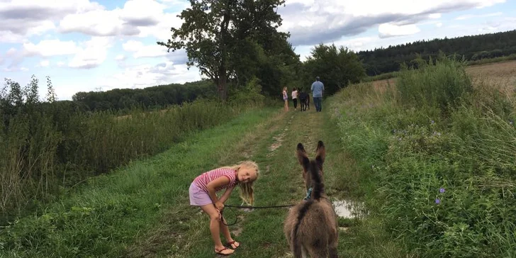 Na procházku s oslíkem i vč. krmení nebo profesionální focení 9 snímků