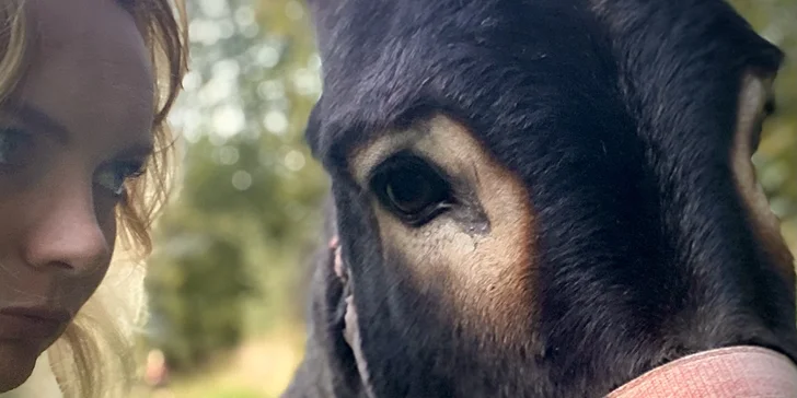 Na procházku s oslíkem i vč. krmení nebo profesionální focení 9 snímků