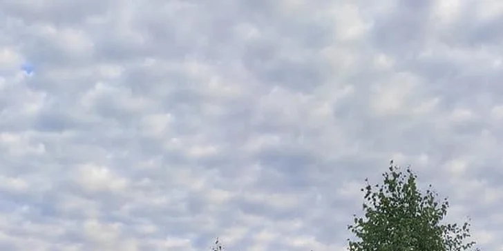 Na procházku s oslíkem i vč. krmení nebo profesionální focení 9 snímků