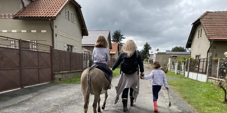 Na procházku s oslíkem i vč. krmení nebo profesionální focení 9 snímků