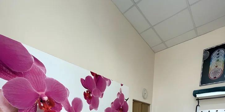 Manuální lymfatická masáž části nebo celého těla: 1 nebo 5 procedur