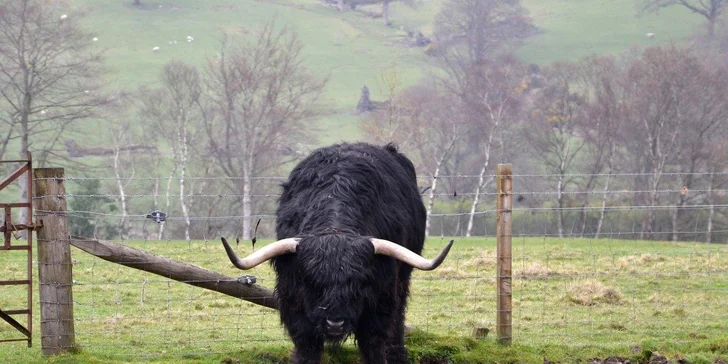 Letecky do Edinburghu na 3 noci: Královská míle, Lochness i největší show dudáků na světě