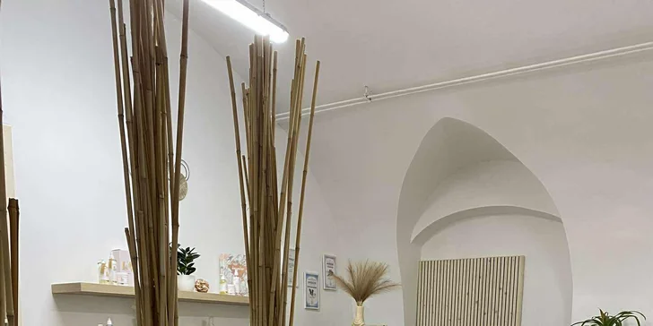 Dentální hygiena pro psy: čištění zubů, odstranění zubního kamene i poradenství