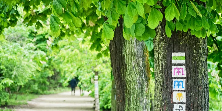 Pobyt v maďarském městě Bük: vybavený apartmán, 3 km od termálních lázní Bükfürdo