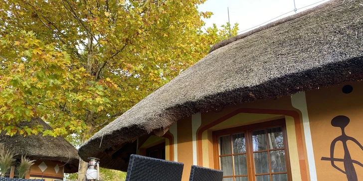 Afrika ve Dvoře Králové: bungalov v kempu, snídaně, neomezený vstup do safari i vířivka