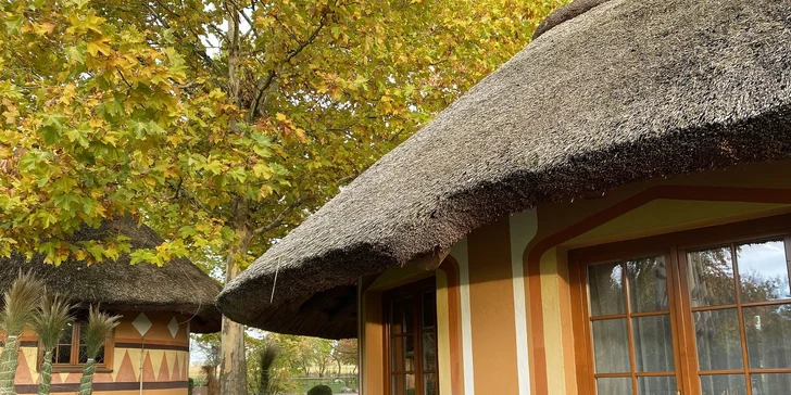 Afrika ve Dvoře Králové: bungalov v kempu, snídaně, neomezený vstup do safari i vířivka