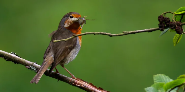 4hodinový individuální kurz focení v přírodě: půjčení techniky i pronájem fotokrytu