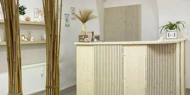 Dentální hygiena pro psy: čištění zubů, odstranění zubního kamene i poradenství
