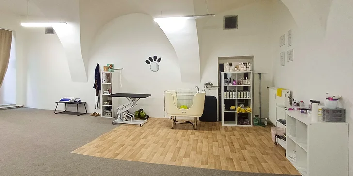 Dentální hygiena pro psy: čištění zubů, odstranění zubního kamene i poradenství