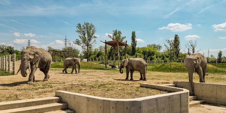 Relax u Győru: hotel u jezera, wellness s termální vodou, snídaně i vstup do zoo