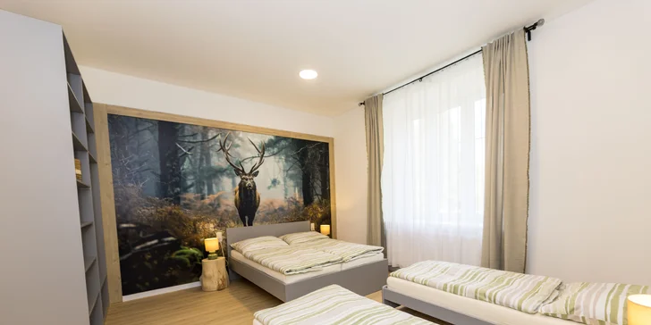 Moderní apartmány v Karlově pod Pradědem, vč. snídaně či polopenze i vlastní kuchyňky