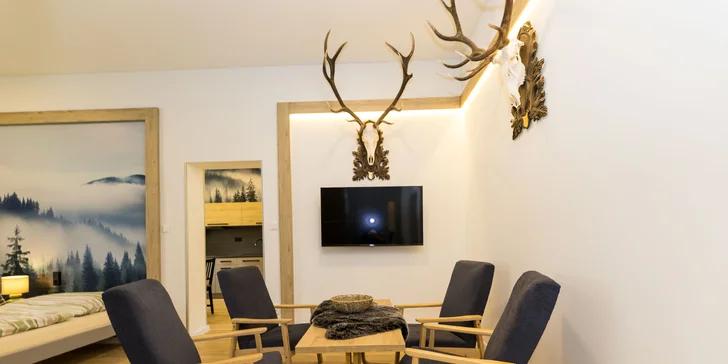 Moderní apartmány v Karlově pod Pradědem, vč. snídaně či polopenze i vlastní kuchyňky