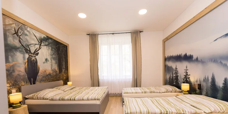 Moderní apartmány v Karlově pod Pradědem, vč. snídaně či polopenze i vlastní kuchyňky