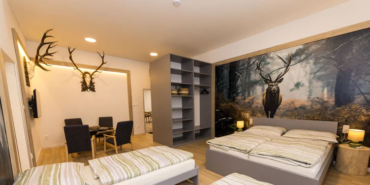 Moderní apartmány v Karlově pod Pradědem, vč. snídaně či polopenze i vlastní kuchyňky