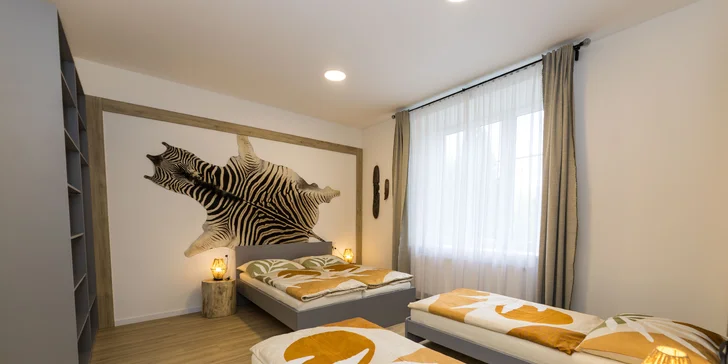 Moderní apartmány v Karlově pod Pradědem, vč. snídaně či polopenze i vlastní kuchyňky
