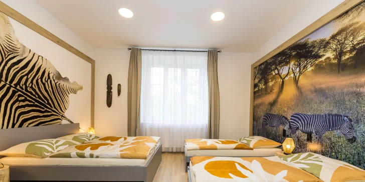 Moderní apartmány v Karlově pod Pradědem, vč. snídaně či polopenze i vlastní kuchyňky