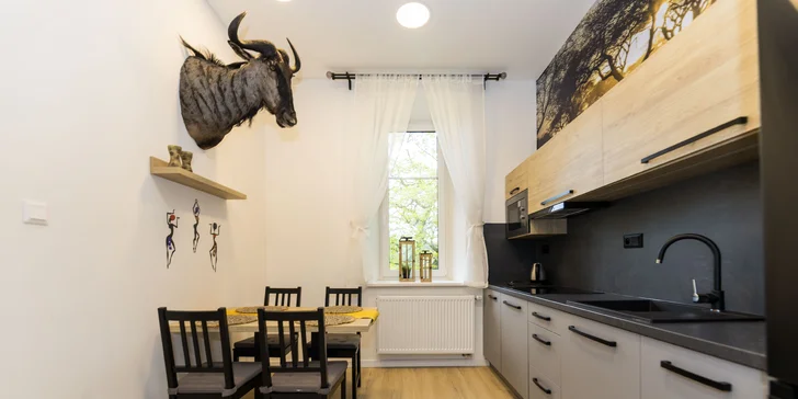 Moderní apartmány v Karlově pod Pradědem, vč. snídaně či polopenze i vlastní kuchyňky