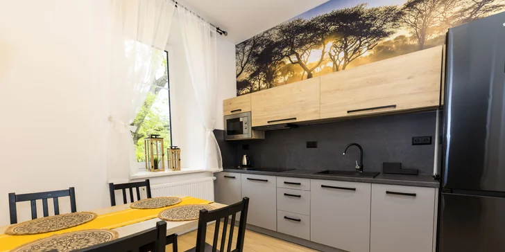 Moderní apartmány v Karlově pod Pradědem, vč. snídaně či polopenze i vlastní kuchyňky