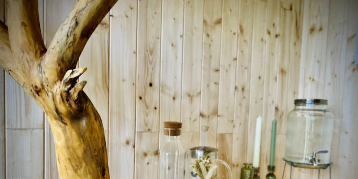 Vybavený treehouse na úpatí Krušných hor: terasa, houpací křesla i gril