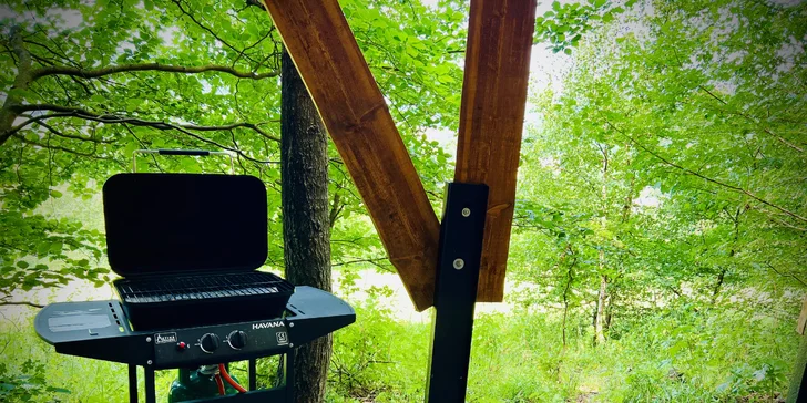 Vybavený treehouse na úpatí Krušných hor: terasa, houpací křesla i gril