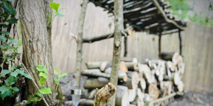 Vybavený treehouse na úpatí Krušných hor: terasa, houpací křesla i gril