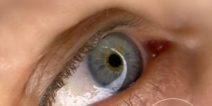 Laminace obočí či lash lifting včetně barvení a hloubkové výživy