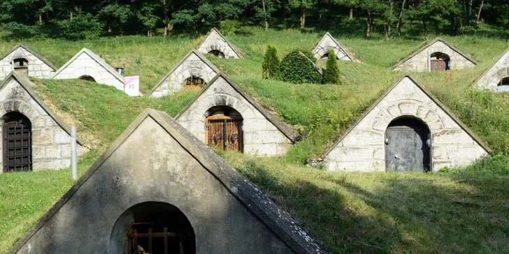 Romantický pobyt s privátním wellness a vínem v Tokaji