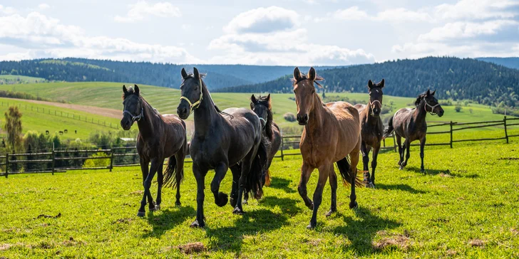 Rodinná dovolená na Oravě s wellness a neuvěřitelným množstvím aktivit: děti do 13,9 let zdarma