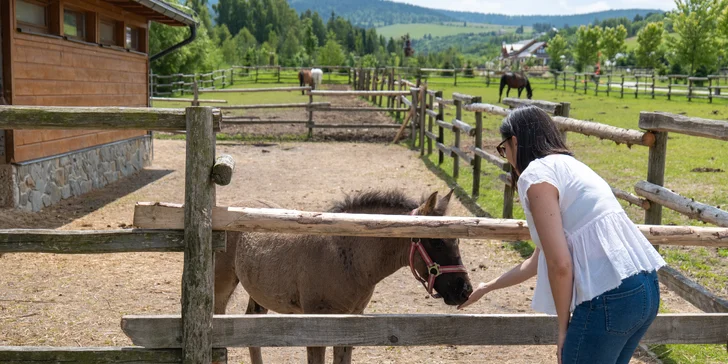Rodinná dovolená na Oravě s wellness a neuvěřitelným množstvím aktivit: děti do 13,9 let zdarma