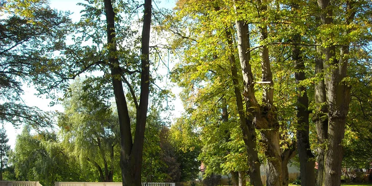 Romantika nedaleko Krakova: pobyt na 4* zámečku se snídaní nebo polopenzí, wellness