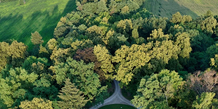 Romantika nedaleko Krakova: pobyt na 4* zámečku se snídaní nebo polopenzí, wellness
