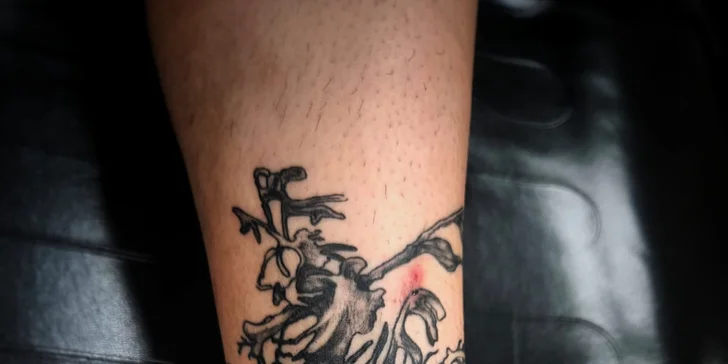 Tetování v centru Prahy: handpoke kérky do 10x10 cm, tetování strojkem do 15x15 cm