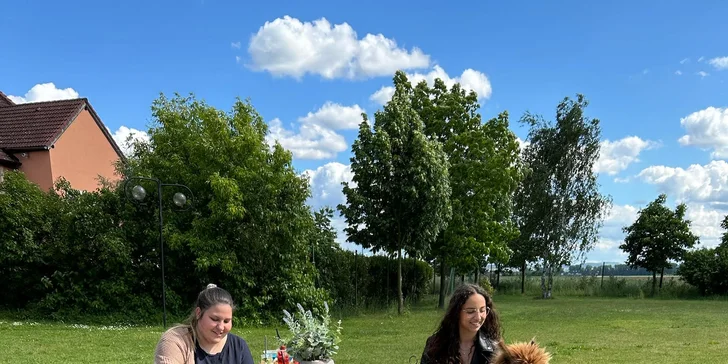 Den plný chlupaté radosti pro každého: setkání s alpakami, procházky, mazlení i krmení