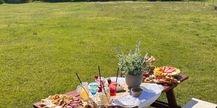 Den plný chlupaté radosti pro každého: setkání s alpakami, procházky, mazlení i krmení