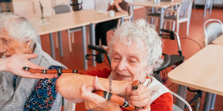 Podpořte Domov seniorů Komárov: zvířecí terapie pro radost a pomocníci v paliativní péči pro úlevu od bolesti