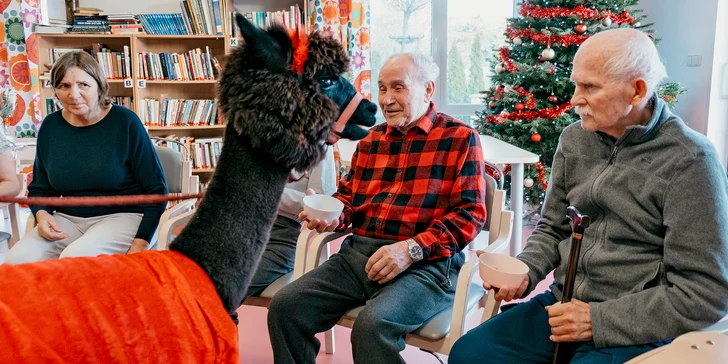 Podpořte Domov seniorů Komárov: zvířecí terapie pro radost a pomocníci v paliativní péči pro úlevu od bolesti