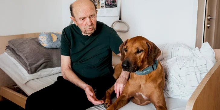 Podpořte Domov seniorů Komárov: zvířecí terapie pro radost a pomocníci v paliativní péči pro úlevu od bolesti