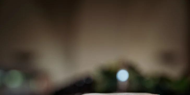 Minigolf v krásném parku a pivo nebo limonáda pro dva či celou rodinu