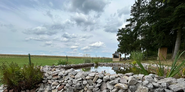 Moderní tiny house na Křivoklátsku, 11 km od Lán: bez stravy či se snídaní