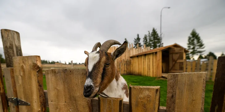 Rodinný rezort s výhledem na Gerlach: Zverofarma, megahřiště i animace
