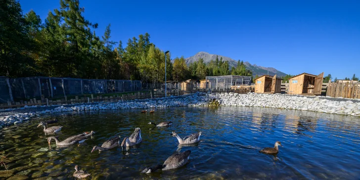 Rodinný relax v Gerlachově: polopenze, neomezený wellness i bohatý program pro děti