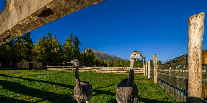 Rodinný relax v Gerlachově: polopenze, neomezený wellness i bohatý program pro děti