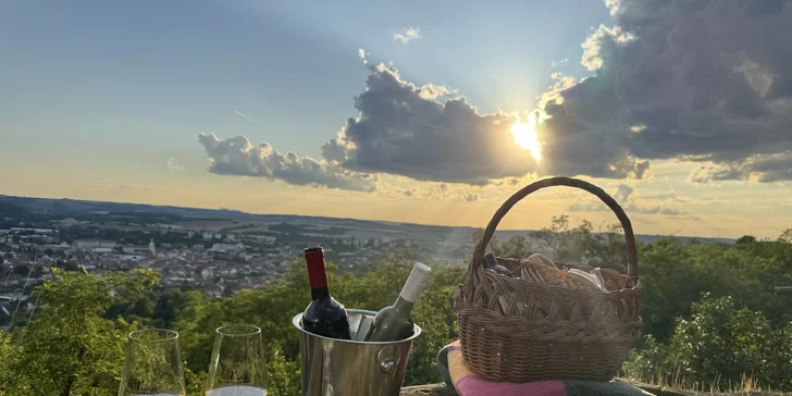 Degustace vín a romantický piknik ve vinici na jižní Moravě pro 2 osoby