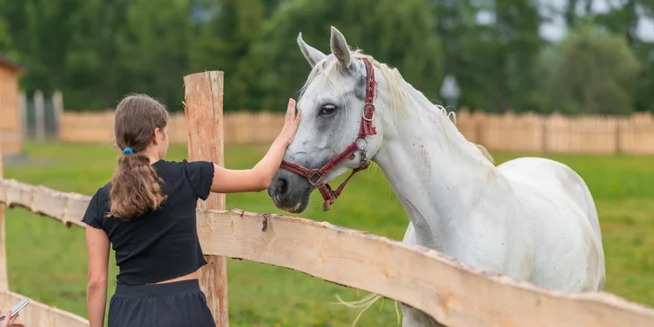 Rodinný rezort s výhledem na Gerlach: Zverofarma, megahřiště i animace