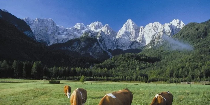 4* slovinské Alpy: moderní Alpski Resort Špik****, polopenze a odpočinek v bazénech