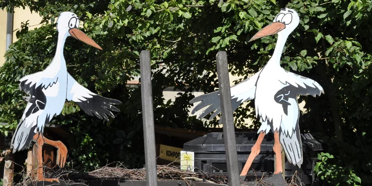 VIP vstup do záchranné stanice v Bartošovicích vč. krmení zvířat pro 2 osoby