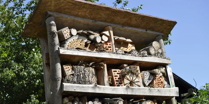 VIP vstup do záchranné stanice v Bartošovicích vč. krmení zvířat pro 2 osoby