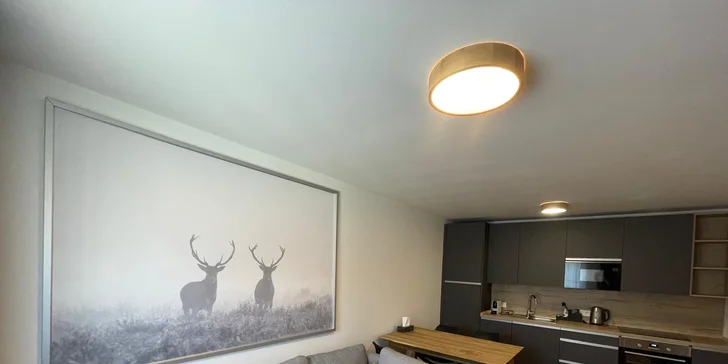 Krásné apartmány na Šumavě až pro 4 osoby i balíčky s privátním wellness